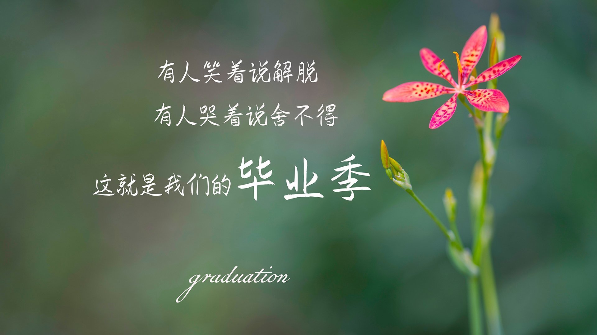 天津泰达客场不敌上海申花，中超前景不明，天津泰达足球中超赛程