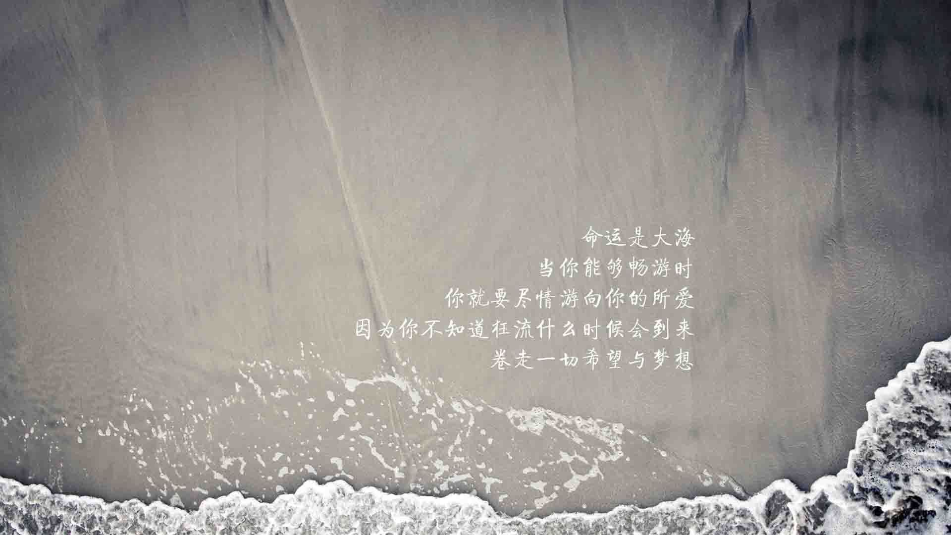 瑞典胜过俄罗斯，晋级欧国盃四强，瑞典队欧洲杯战绩