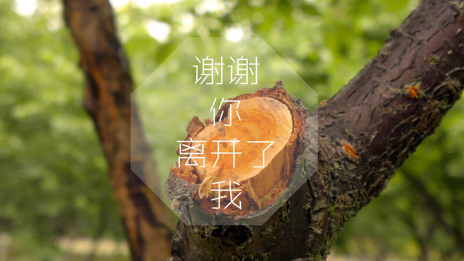 赛季盘点：五大联赛最令人惊喜的升班马，五大联赛升班马2020