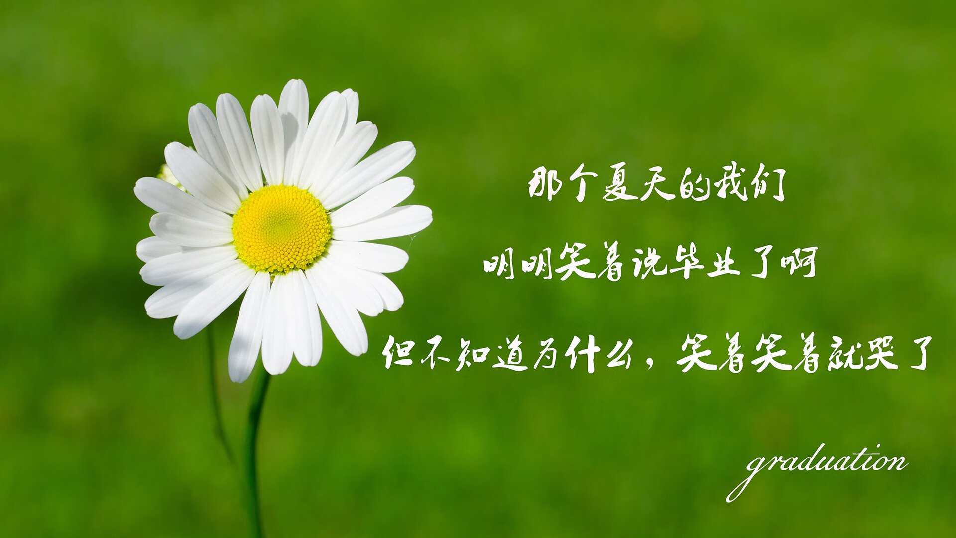 “四川省体育馆拳击赛事：谁能在拳击擂台上打破极限，迎接金牌荣耀？”