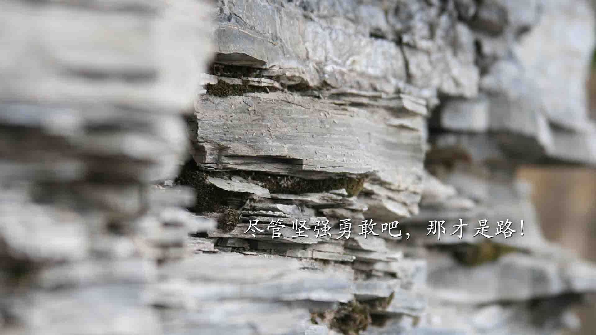 大数据平台输出城市体育参与度报告,体育行业大数据