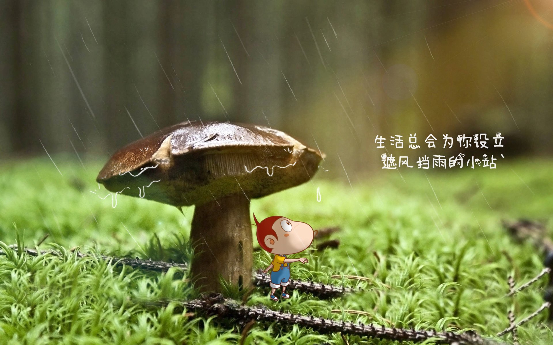 智能裁判系统提升执法公正性，赢得广泛认可，智能车裁判系统