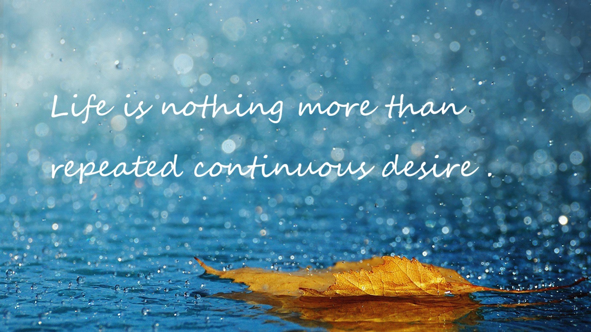 开云·体育官网APP下载-马拉维男篮在非洲锦标赛中再夺冠军，体育成就新里程碑，非洲国家马拉维